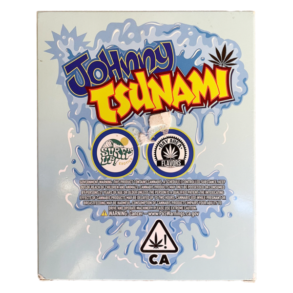 Johnny Tsunami - Image 2