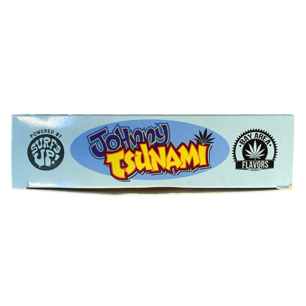 Johnny Tsunami - Image 4